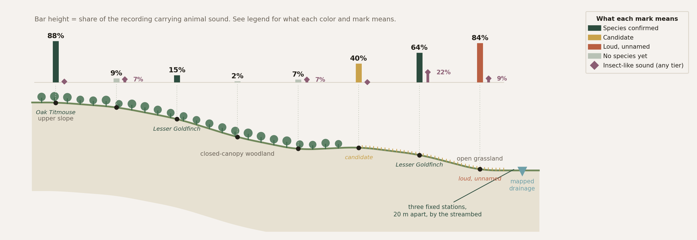 Hillslope profile of eight recordings from an oak-shrub crest down to open grassland by a mapped drainage. Green bars show the share of each recording carrying animal sound, from 88% at the top edge to 2% mid-slope to 84% in the grassland. Rust bars show insect sound, peaking at 22% at the edge above the drainage. Oak Titmouse and Lesser Goldfinch are named where two models agreed.